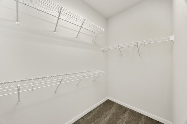 spacious closet featuring dark colored carpet