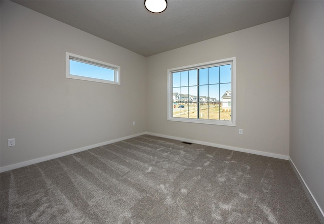 carpeted empty room featuring a textured ceiling and plenty of natural light