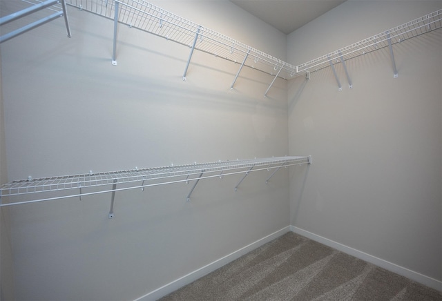 spacious closet with carpet flooring