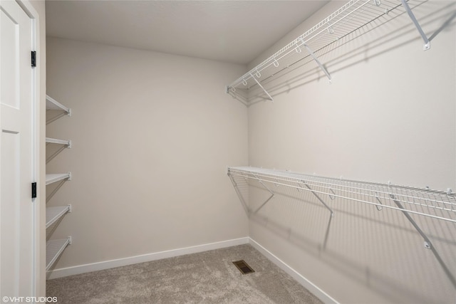 spacious closet with carpet