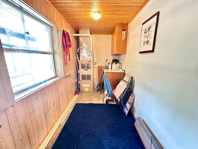 1126 Lakeshore Dr, Brooklyn, IA 52211 - exercise area with wood ceiling, wooden walls, and heating unit