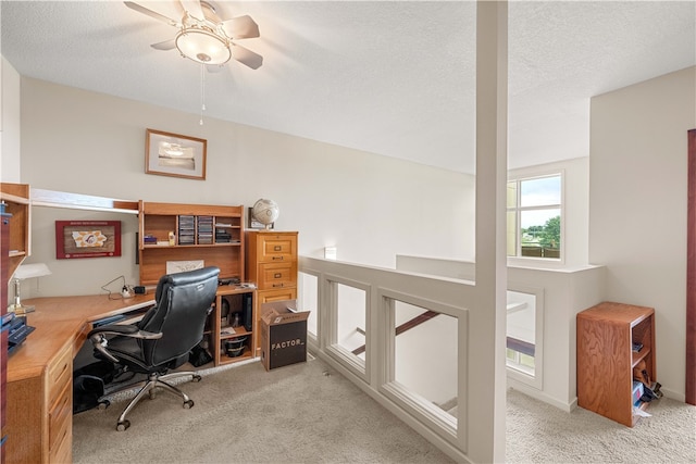 carpeted office space with ceiling fan and a textured ceiling