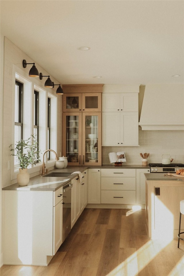 kitchen featuring a healthy amount of sunlight, light hardwood / wood-style floors, stainless steel dishwasher, and ventilation hood