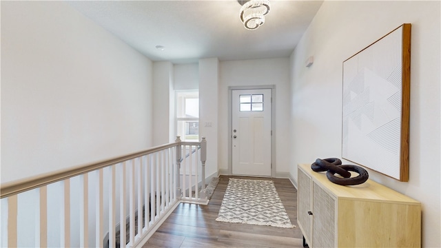 entryway featuring wood-type flooring