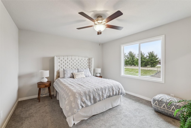 2925 3rd Ave SW, Altoona, IA 50009 - carpeted bedroom with baseboards and ceiling fan
