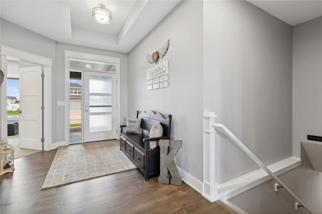 foyer featuring a raised ceiling and hardwood / wood-style floors