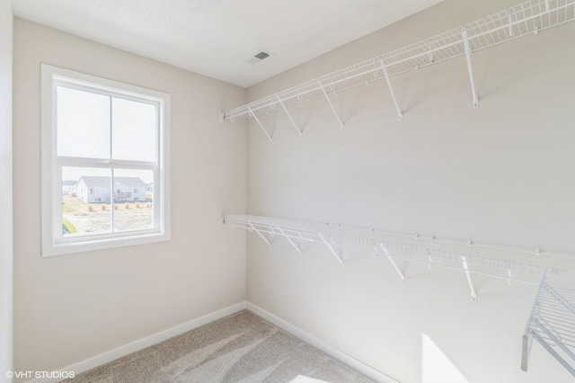 spacious closet featuring carpet floors