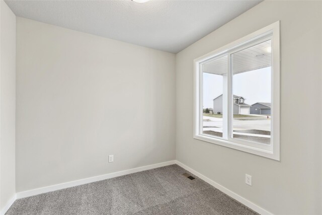 303 29th St SW, Altoona, IA 50009 - carpeted spare room with baseboards