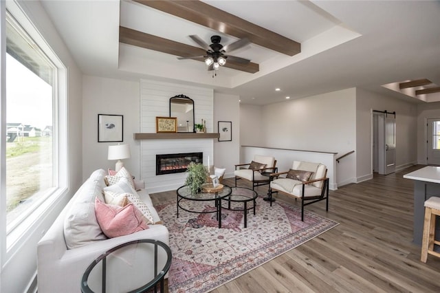 living room with hardwood / wood-style floors, a wealth of natural light, and a tray ceiling