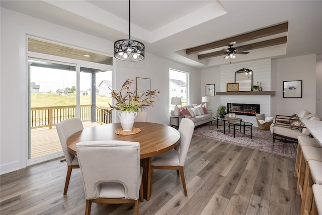 dining room with a fireplace, light hardwood / wood-style floors, a raised ceiling, and a healthy amount of sunlight