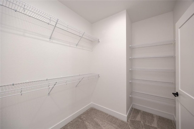 walk in closet with carpet