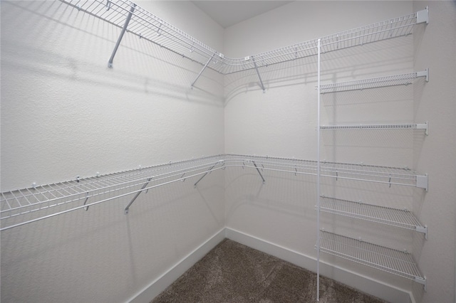 walk in closet featuring carpet