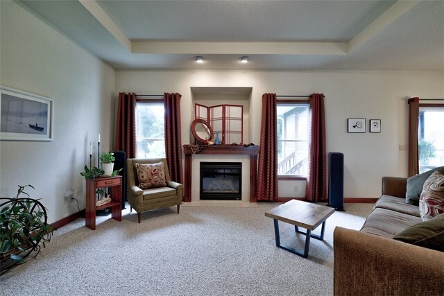 carpeted living room with a healthy amount of sunlight and a raised ceiling