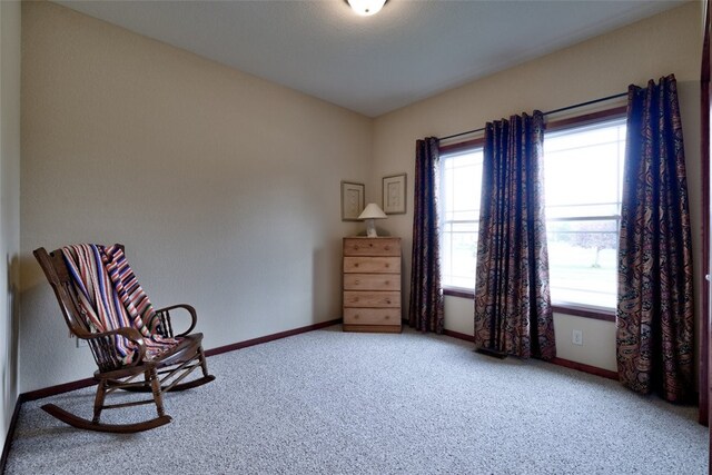 sitting room with carpet