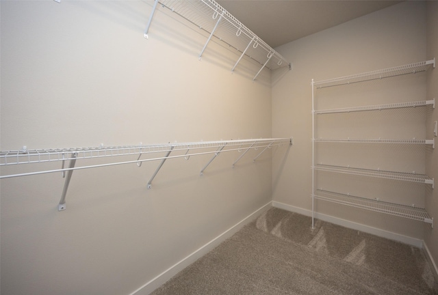 walk in closet featuring carpet flooring