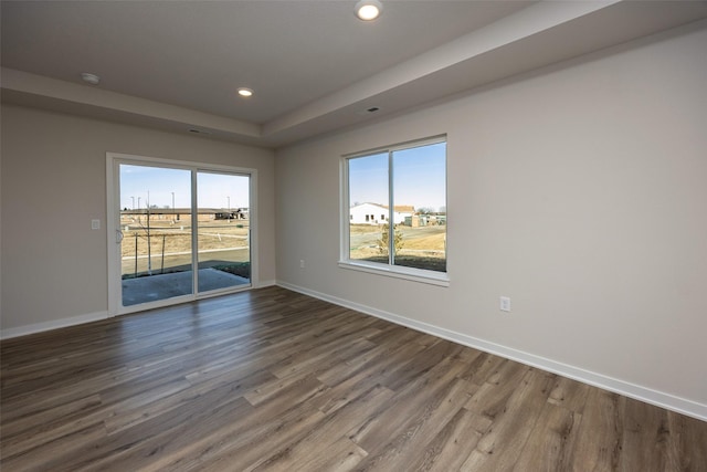 empty room with hardwood / wood-style flooring, a raised ceiling, and plenty of natural light