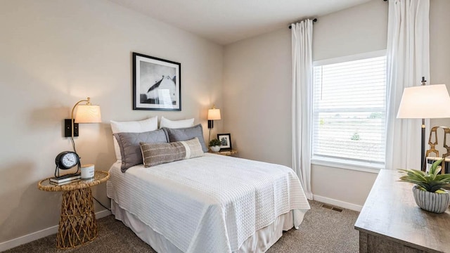 carpeted bedroom with multiple windows