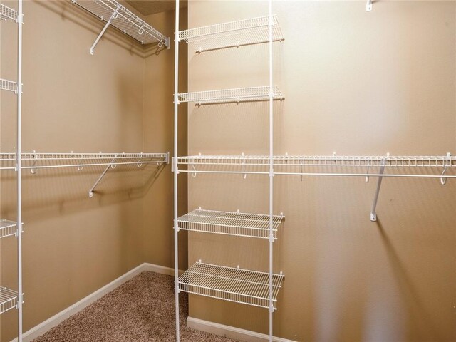 spacious closet featuring carpet floors