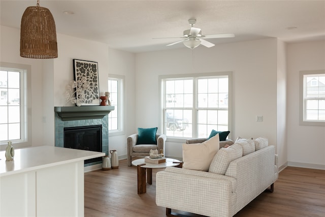 living room with ceiling fan and hardwood / wood-style flooring