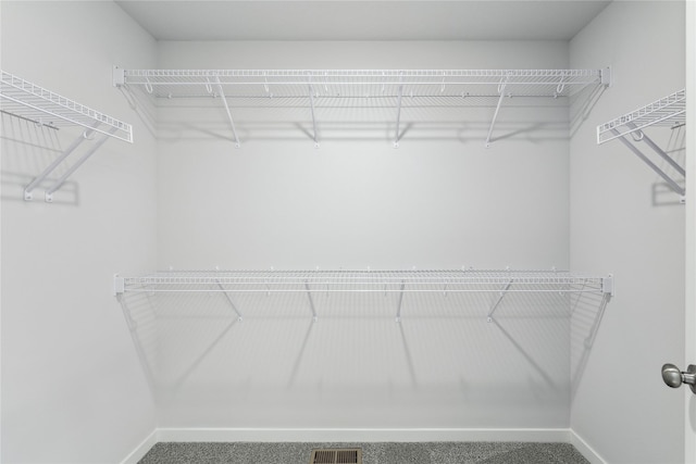 walk in closet with visible vents and carpet floors