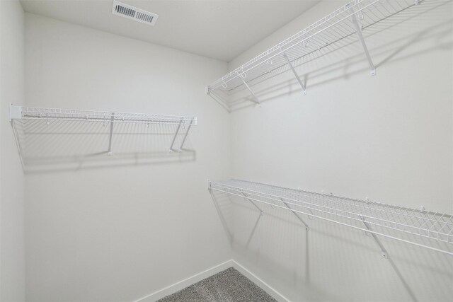 walk in closet with carpet flooring