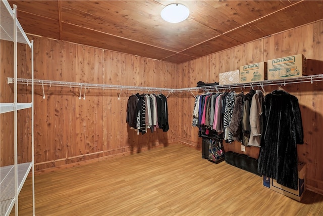 spacious closet with wood-type flooring