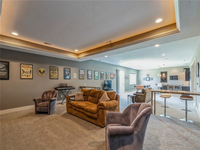 living room with carpet flooring, a textured ceiling, and a raised ceiling