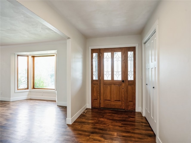 foyer entrance with dark hardwood / wood-style floors