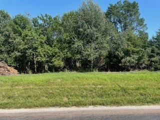 4825 Panorama Dr, Panora IA, 50216 land for sale