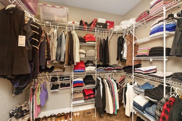 walk in closet with carpet floors