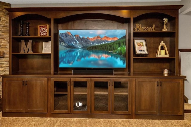 carpeted home theater with built in features