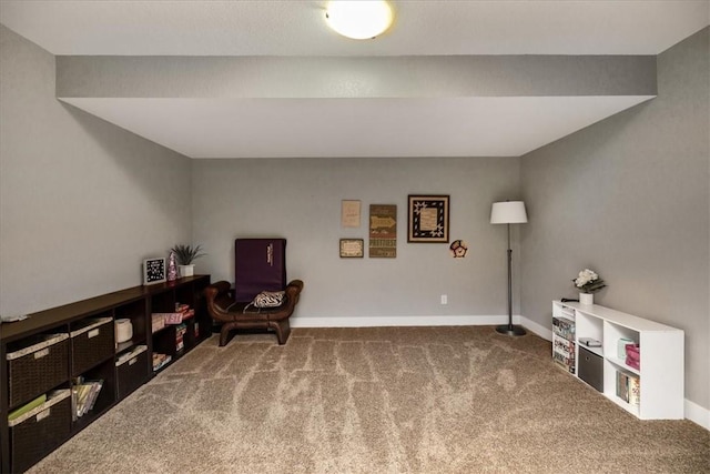 sitting room with carpet