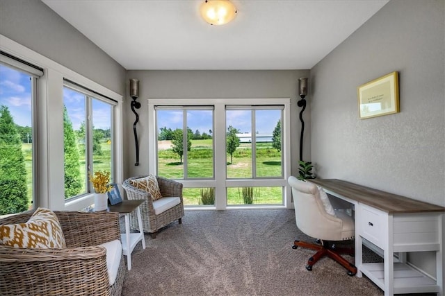 carpeted office space with plenty of natural light