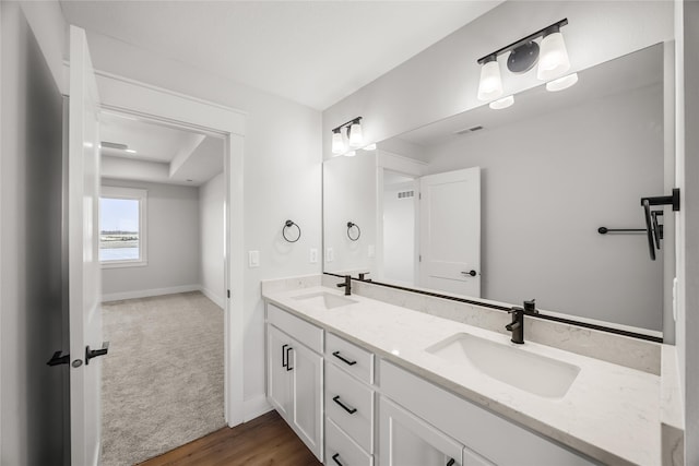 bathroom featuring vanity and wood-type flooring