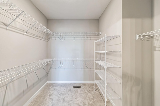 406 NE 57th Ct, Ankeny, IA 50021 - walk in closet with visible vents and carpet flooring