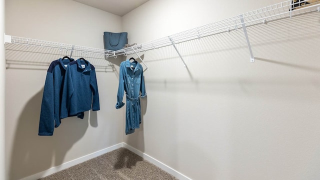 walk in closet with carpet floors