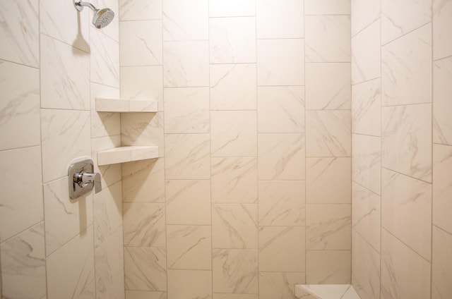 1303 NW Benjamin Dr, Ankeny, IA 50023 - bathroom featuring tiled shower