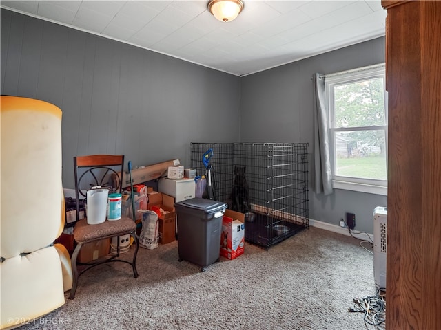 miscellaneous room with carpet floors and baseboards