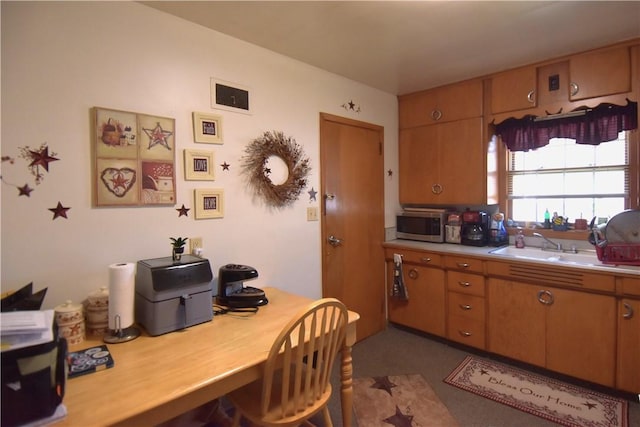 kitchen with sink