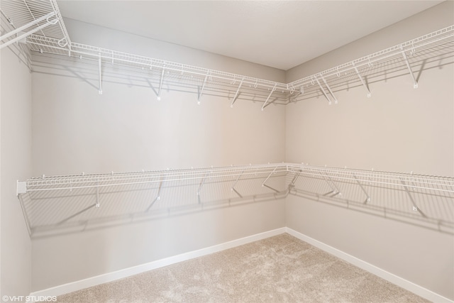 spacious closet with carpet flooring