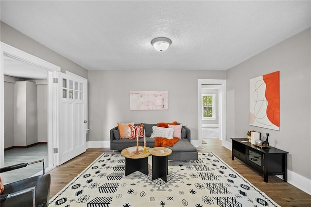 sitting room with wood-type flooring and a textured ceiling