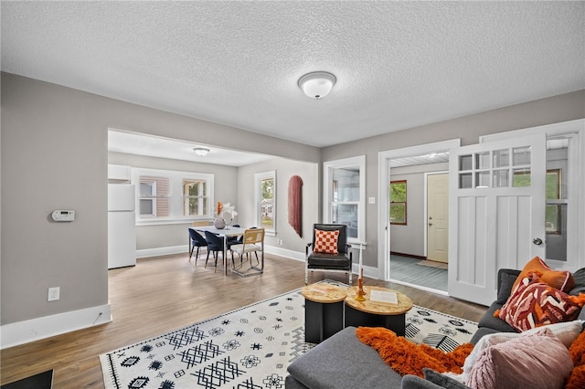 living room with hardwood / wood-style floors and a textured ceiling