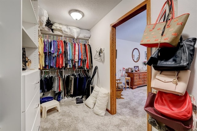 spacious closet featuring light carpet