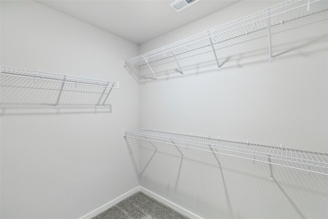 spacious closet featuring carpet flooring