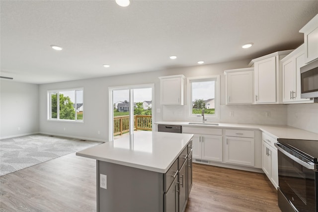 525 NW Rosemont Dr, Waukee, IA 50263 - photo 5