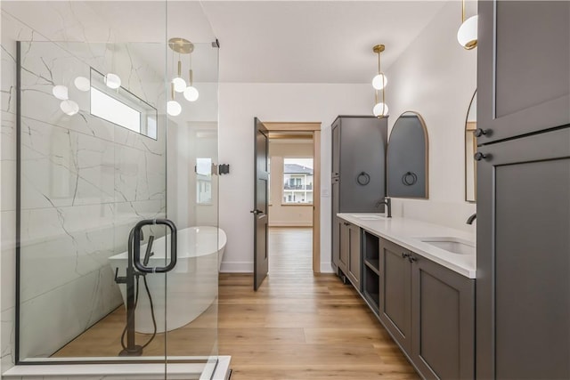 bathroom with hardwood / wood-style flooring, plus walk in shower, and vanity