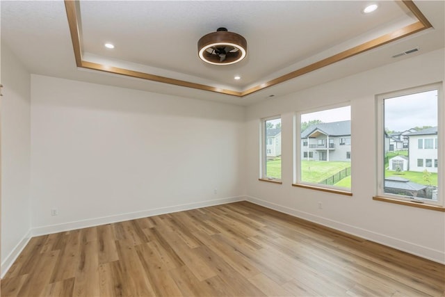 unfurnished room featuring light hardwood / wood-style floors, plenty of natural light, and a raised ceiling