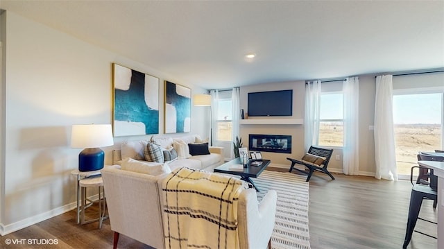 living room with hardwood / wood-style floors