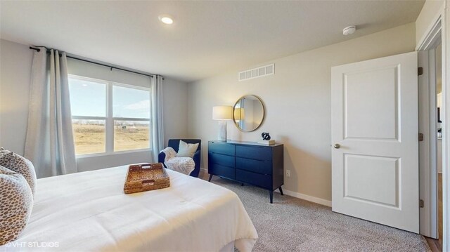 bedroom with light colored carpet