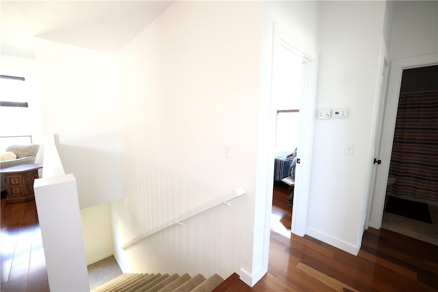 stairway with hardwood / wood-style floors